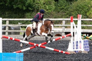 Class 3 -  Fences not above 2'3